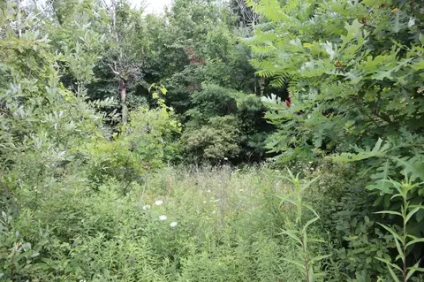 8523 E Riv, Mount Pleasant, MI 48858 photo 7