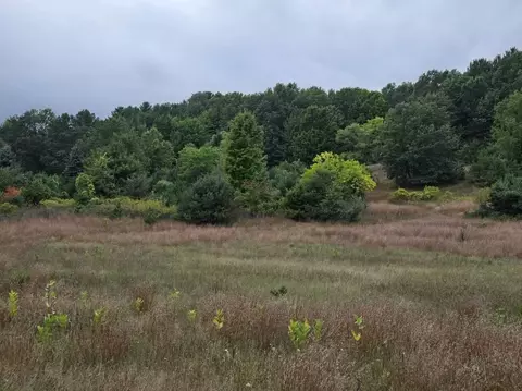 00 N Four Mile, Traverse City, MI 49696