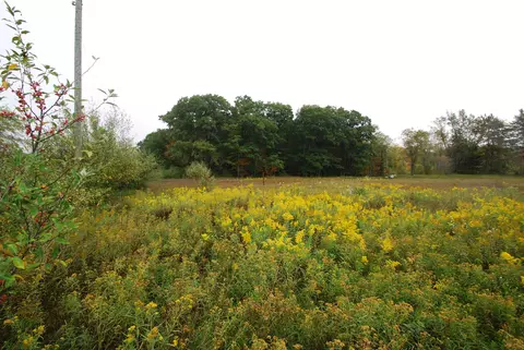 Parcel 4A Jobin #: 4A, West Branch, MI 48661