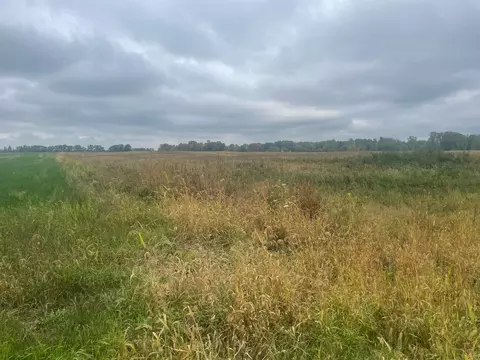 tbd E Denver, Rosebush, MI 48622