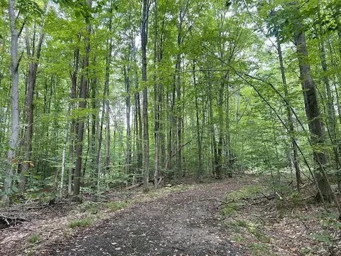 lot44 Hauschen #LOT : 44, Bellaire, MI 49615