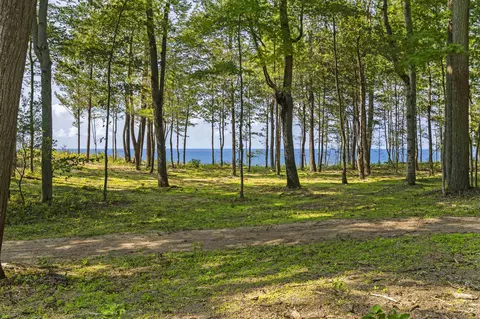 View/Area - 15382 Maxey, Arcadia, MI 49613 photo 7 of 14