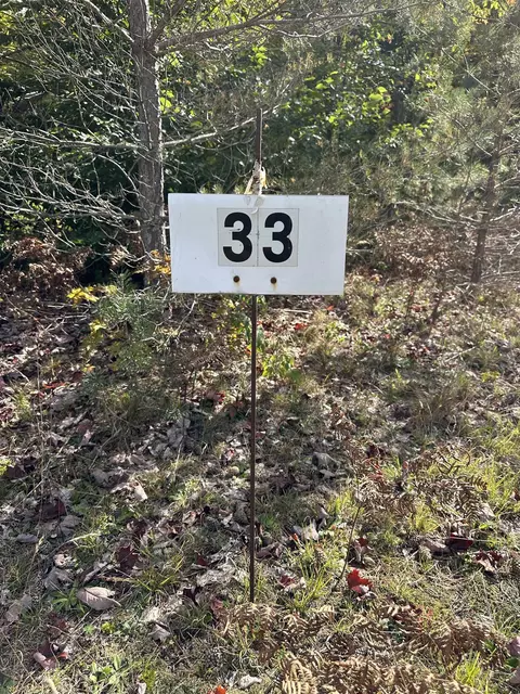 000 Lot 33 Nuthatch, Thompsonville, MI 49683