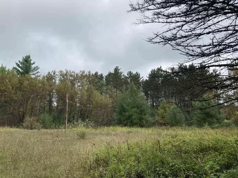 3787 Kelly, Lupton, MI 48635 photo 23