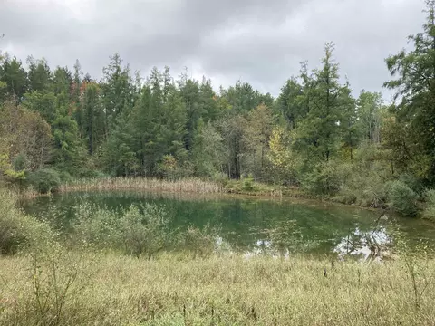 3787 Kelly, Lupton, MI 48635 photo 2