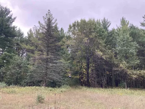 3787 Kelly, Lupton, MI 48635 photo 24
