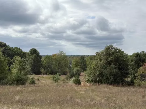 7267 S Snyder, Fife Lake, MI 49633