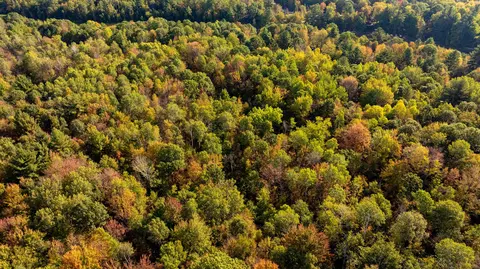 V/l Rivers Terrace, Gladwin, MI 48624 photo 18