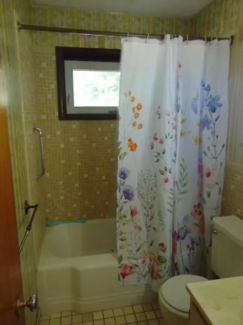 Bath - 415 E South, Ithaca, MI 48847 photo 5 of 6