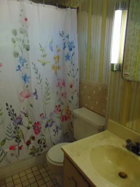 Bath - 415 E South, Ithaca, MI 48847 photo 6 of 6