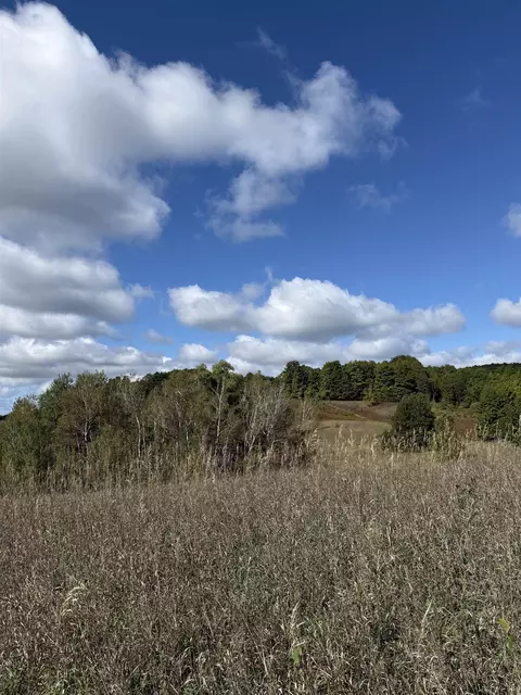 5775 E Lincoln, Cedar, MI 49621 photo 26