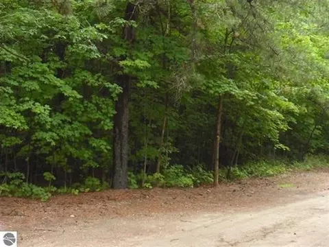 Parcel F4 Jackson Creek, Kingsley, MI 49649