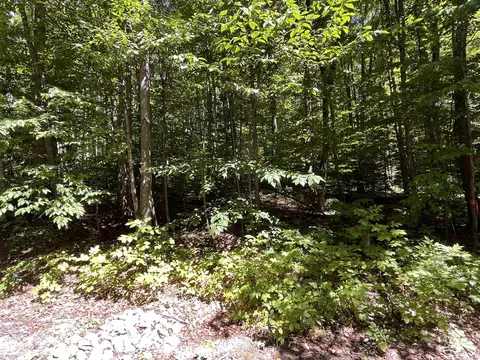 lot70 N Klaffen Strasse, Bellaire, MI 49615
