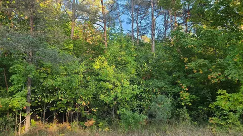0000 Sperry, Fife Lake, MI 49646