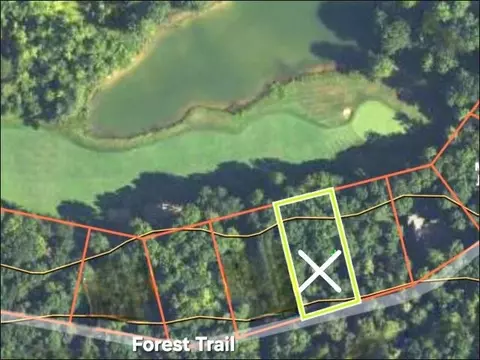 14 Forest, Bellaire, MI 49615