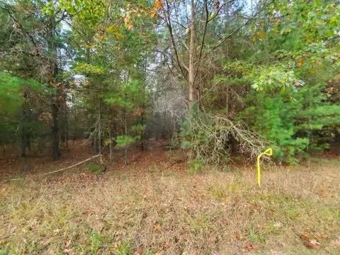 0 Buffalo #LOT S 37 AND 38 BUFFALO TRAIL : , Alger, MI 48610
