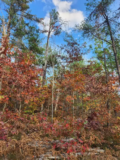 320 Garrison, Mio, MI 48647 photo 10