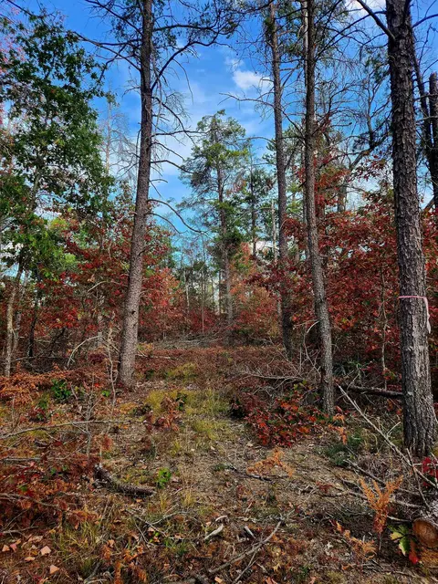 320 Garrison, Mio, MI 48647 photo 2