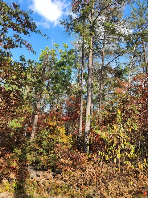 320 Garrison, Mio, MI 48647 photo 6