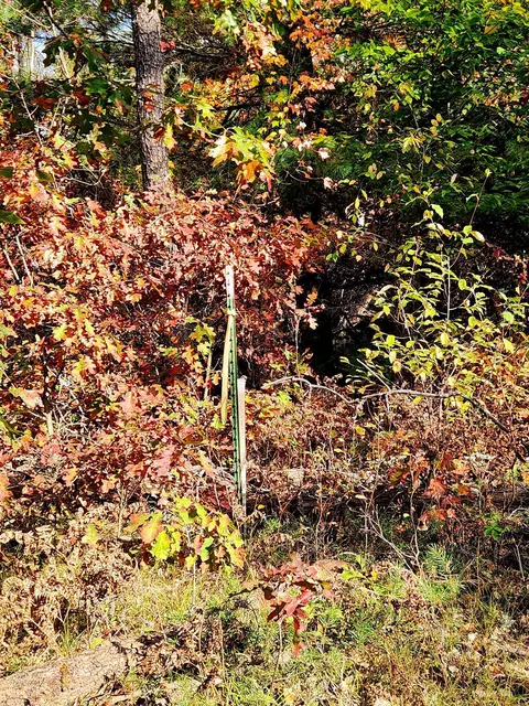 320 Garrison, Mio, MI 48647 photo 3