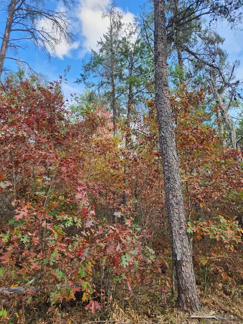 320 Garrison, Mio, MI 48647 photo 9