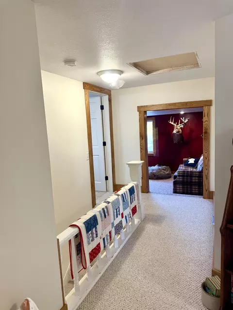 Entry Way - 4651 S Begole, Ithaca, MI 48847 photo 5 of 6