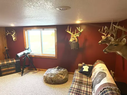 Living - 4651 S Begole, Ithaca, MI 48847 photo 5 of 5