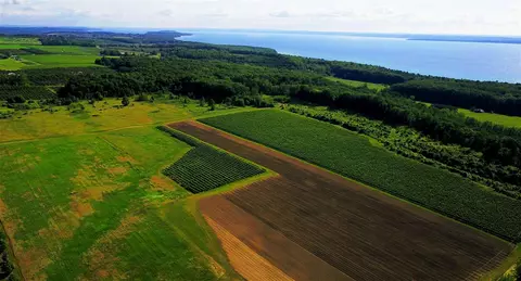 Center, Traverse City, MI 49686