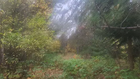 0000 Cedar Riv, Mancelona, MI 49659