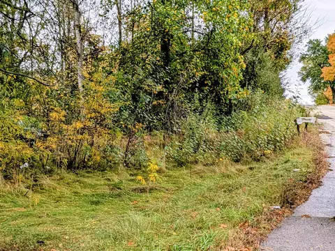 2495 W Blanchard, Mount Pleasant, MI 48858