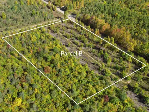 Parcel B Homestead, Beulah, MI 49617