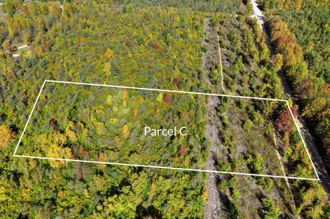 Parcel C S Weldon, Beulah, MI 49617