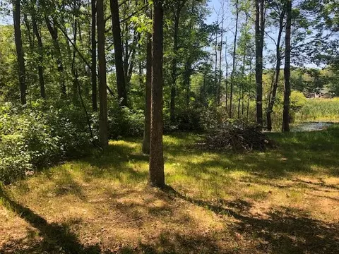 3395 Mills, Prescott, MI 48756