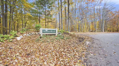 lot28 Mountain Woods, Thompsonville, MI 49683