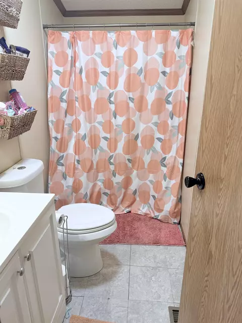 521 E Stoney Cors, Mcbain, MI 49657 photo 9