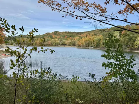 0 Alvinas #PARCEL A & B : A, Lake Ann, MI 49650
