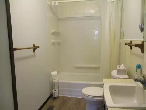 420 E Isham, Lyons, MI 48851 photo 21