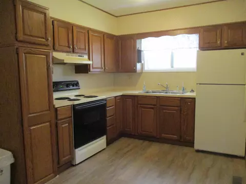 420 E Isham, Lyons, MI 48851 photo 25