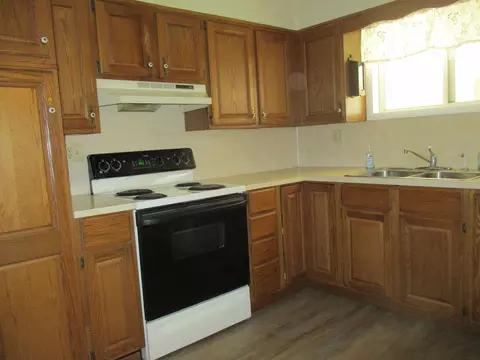 420 E Isham, Lyons, MI 48851 photo 12