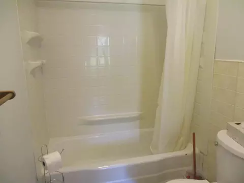 420 E Isham, Lyons, MI 48851 photo 22