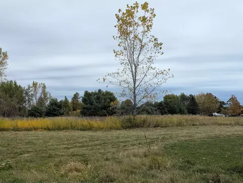 N/a Court, Au Gres, MI 48703 photo 17