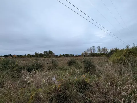 N/a Court, Au Gres, MI 48703 photo 4
