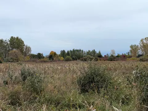 N/a Court, Au Gres, MI 48703 photo 7