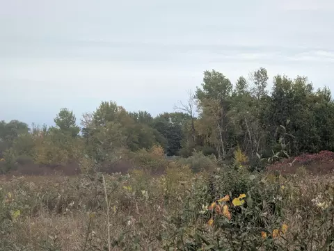 N/a Court, Au Gres, MI 48703 photo 5