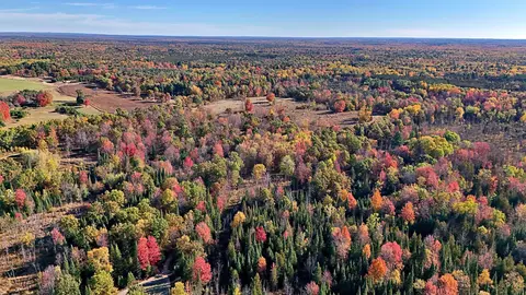 0 Twin Lk, Marion, MI 49665
