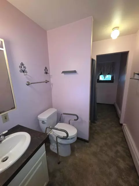 Bath - 239 E Smt, Breckenridge, MI 48615 photo 3 of 3