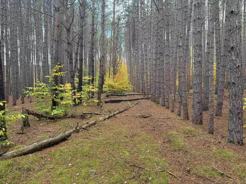0 Deer Run, Cadillac, MI 49601