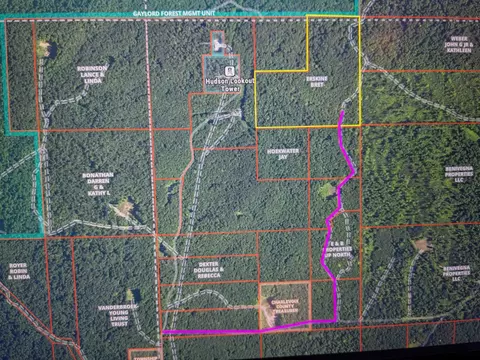 V/L Off Tower #: 6,8,9, Vanderbilt, MI 49795 photo 11