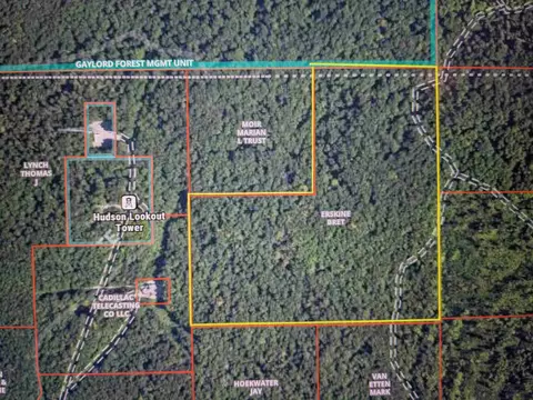 V/L Off Tower #: 6,8,9, Vanderbilt, MI 49795 photo 10