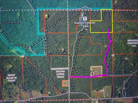 V/L Off Tower #: 6,8,9, Vanderbilt, MI 49795 photo 12